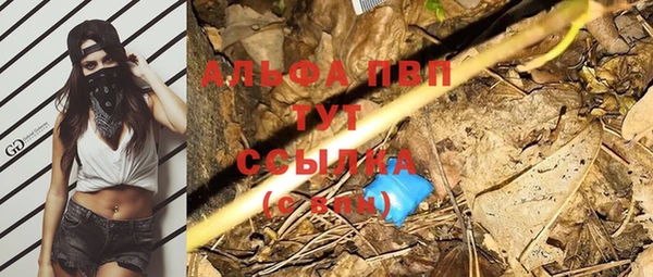 прущие грибы Кулебаки