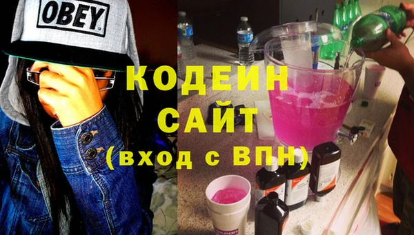прущие грибы Кулебаки