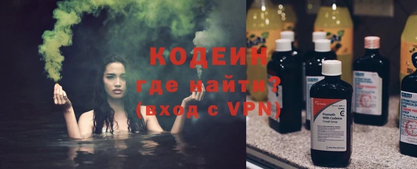 прущие грибы Кулебаки