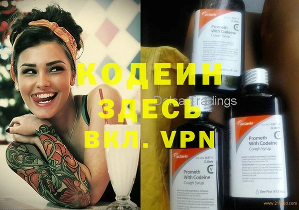 прущие грибы Кулебаки