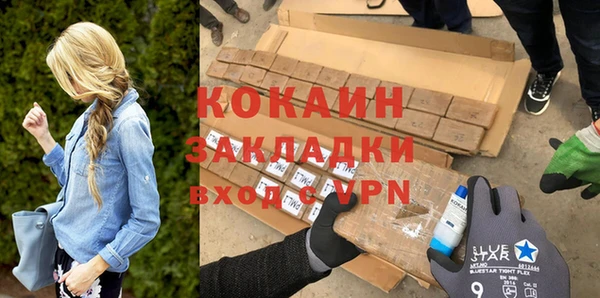 гашик Ладушкин