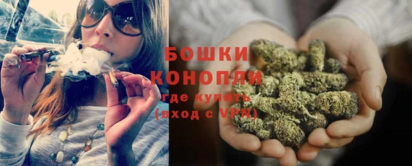 прущие грибы Кулебаки