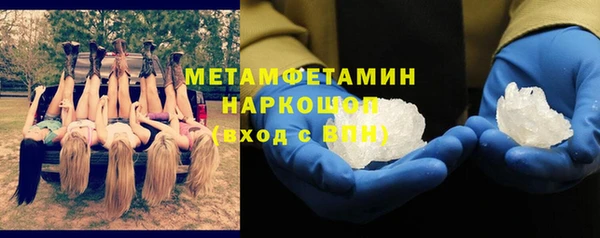 прущие грибы Кулебаки