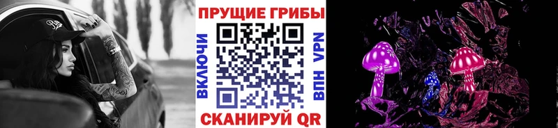 Галлюциногенные грибы Psilocybine cubensis Александровское