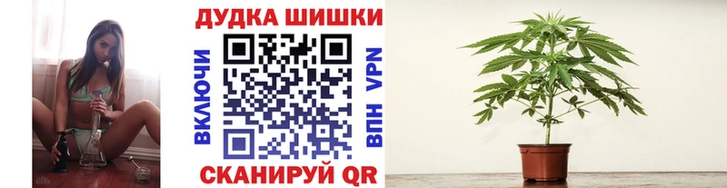 Бошки Шишки индика  OMG как зайти  Александровское 